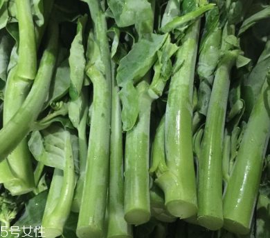 芥蘭的存儲(chǔ) 芥蘭能放冰箱嗎？