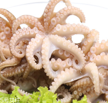 章魚是什么顏色？章魚是什么樣子？