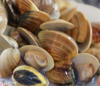 文蛤是海鮮還是河鮮？文蛤是海鮮嗎？