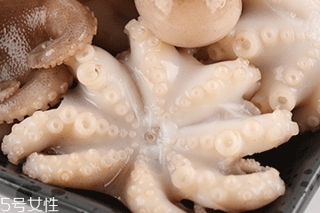 章魚可以炸嗎？章魚能油炸嗎？