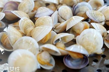 文蛤是淡水還是海水？文蛤是淡水水產(chǎn)嗎？