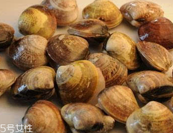 文蛤是冷水煮還是熱水？文蛤是用熱水嗎？