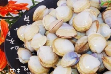 文蛤能放在冰箱里嗎?文蛤怎么保存？