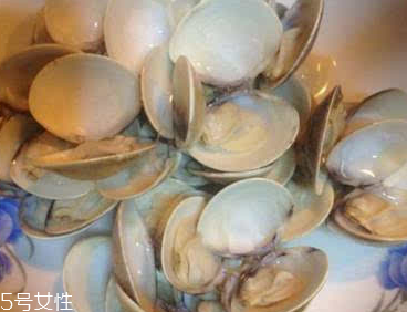文蛤能給孕婦吃嗎？孕婦能不能吃文蛤？