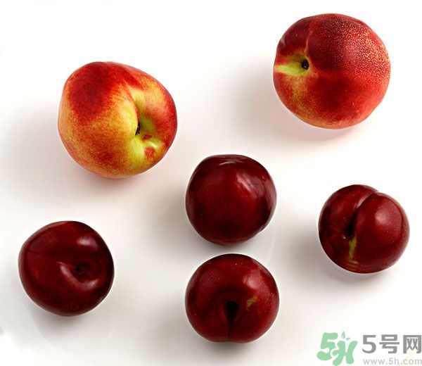 李子和灰子的區(qū)別？灰子的功效與作用