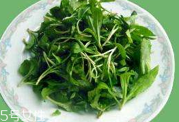 馬蘭頭對(duì)人的好處？馬蘭頭有什么好處？