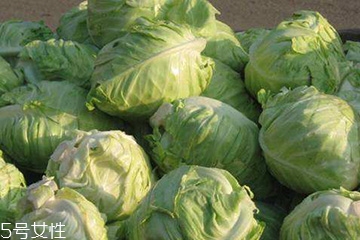 牛心菜是卷心菜嗎？牛心菜和卷心菜的區(qū)別