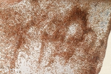 海藻面膜會發(fā)芽嗎？真的海藻面膜會發(fā)芽嗎？