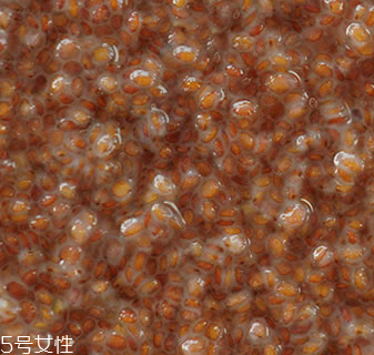 海藻面膜能加蜂蜜嗎？蜂蜜和海藻做面膜好嗎？