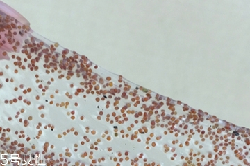 海藻面膜可以加維生素e嗎？海藻加維生素e可以用嗎？