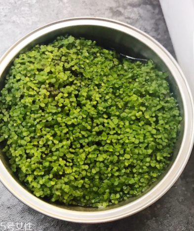 海藻面膜為什么會出膠？海藻面膜的膠是什么？