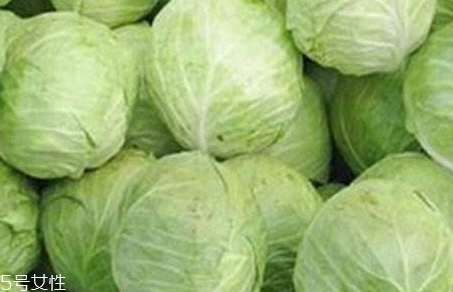 牛心菜是寒性還是熱性？牛心菜是寒性的嗎？