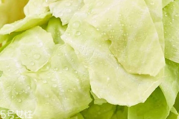 牛心菜是寒性還是熱性？牛心菜是寒性的嗎？