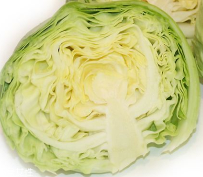 牛心菜是酸性還是堿性？牛心菜是酸性的嗎？