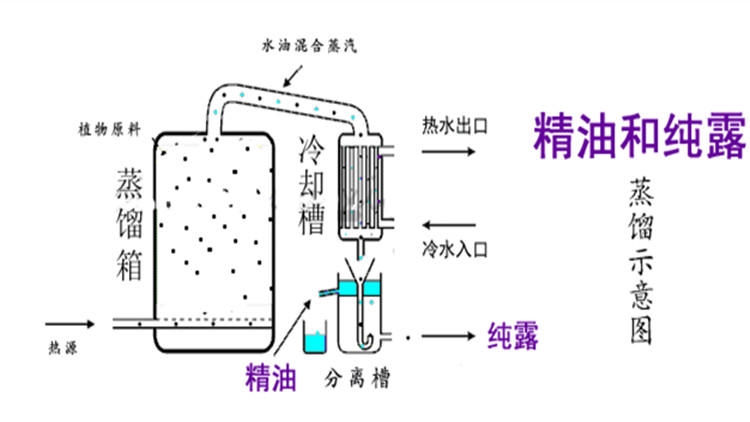 純露怎么濕敷效果好？純露濕敷的正確步驟