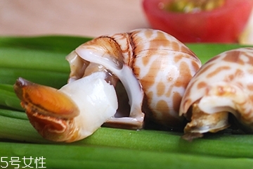 海螺能和西瓜一起吃嗎？海螺和西瓜能同食嗎？