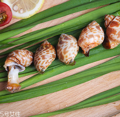海螺能和西瓜一起吃嗎？海螺和西瓜能同食嗎？