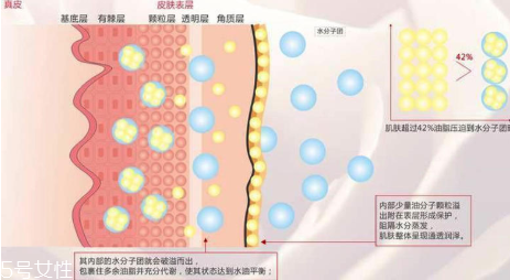 頑固痘痘怎么消除？油皮為什么反復(fù)爆痘？