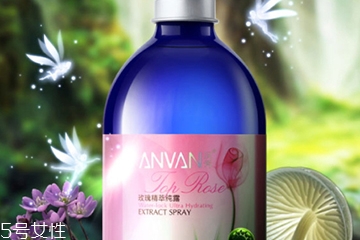 玫瑰水哪個牌子好？玫瑰水品牌推薦