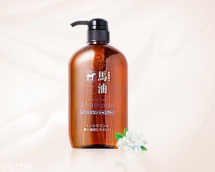 馬油洗發(fā)水是哪里產(chǎn)的？馬油洗發(fā)水是哪國(guó)的？