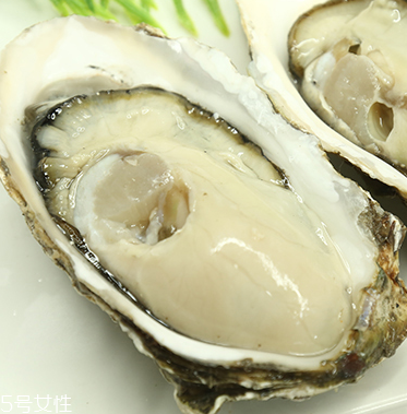生蠔是蒸還是煮？生蠔蒸好吃還是煮好吃？