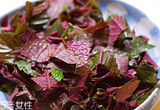紫蘇葉能治皮膚過敏嗎？