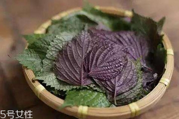 紫蘇葉吃了會(huì)上火嗎？紫蘇葉吃了不會(huì)上火