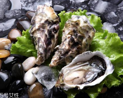 生蠔每天吃幾個最好？生蠔每日最佳食用量