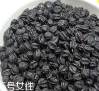 刺五加怎么吃？刺五加有什么用？