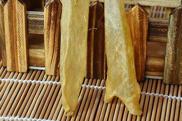 花膠為什么會有小蟲 這個(gè)是正?，F(xiàn)象