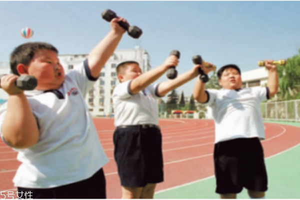 應(yīng)該注意小孩脂肪和膽固醇的攝取量嗎？