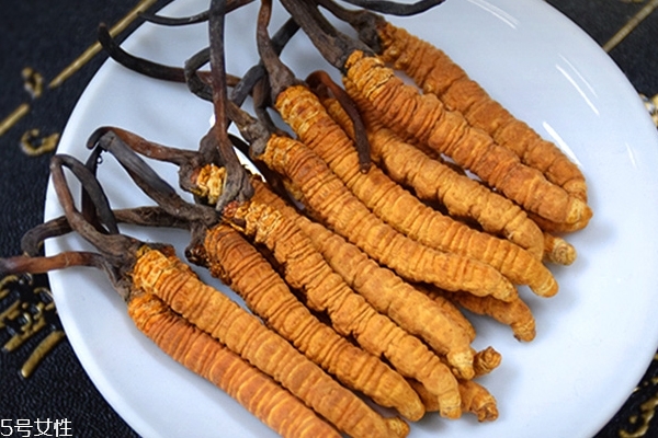 冬蟲(chóng)夏草是什么味道 吃起來(lái)像毛豆