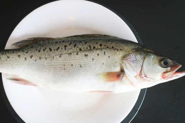 海鱸魚(yú)怎么去內(nèi)臟 方法很簡(jiǎn)單