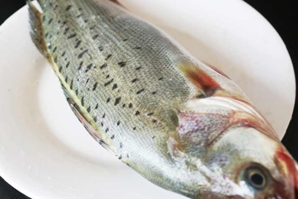 海鱸魚(yú)怎么去內(nèi)臟 方法很簡(jiǎn)單