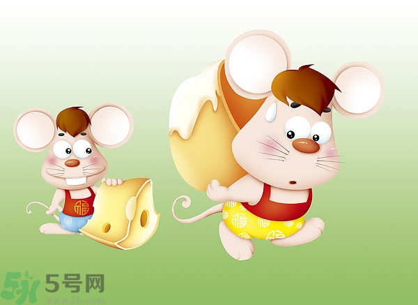 吃奶酪會(huì)過(guò)敏嗎？芝士是發(fā)物嗎？