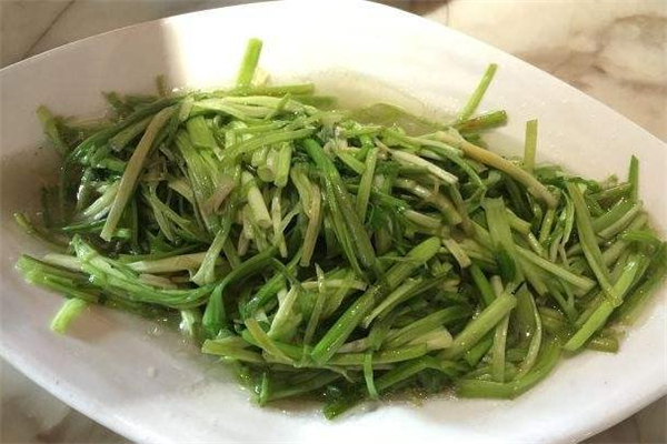 水芹菜有寄生蟲(chóng)嗎 水芹菜有寄生蟲(chóng)怎么辦
