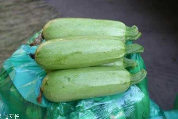 什么是北瓜呢 北瓜有什么營養(yǎng)價(jià)值呢