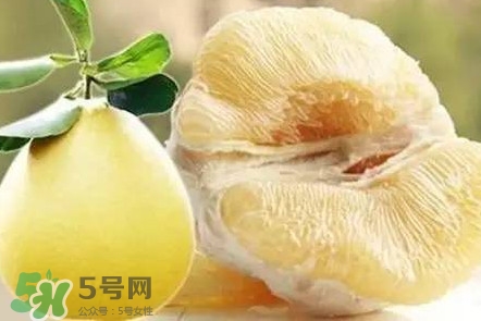 蜜柚是哪個季節(jié)的水果？蜜柚和沙田柚的區(qū)別是什么？
