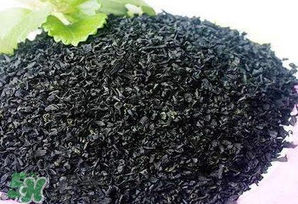 怎么辨別螺旋藻的真假？買螺旋藻怎么挑？