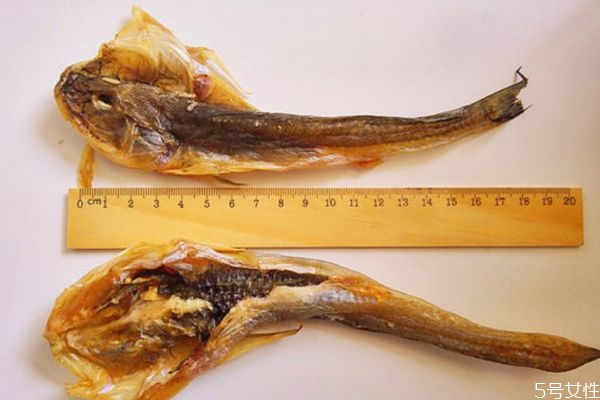 海鯰魚(yú)怎么做好吃呢 什么人不能吃海鯰魚(yú)呢