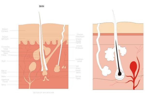 糾結身體乳哪個牌子好？從功效下手才穩(wěn)