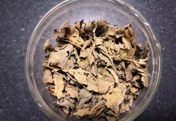 喝桑葉茶能減肥嗎?有什么副作用？