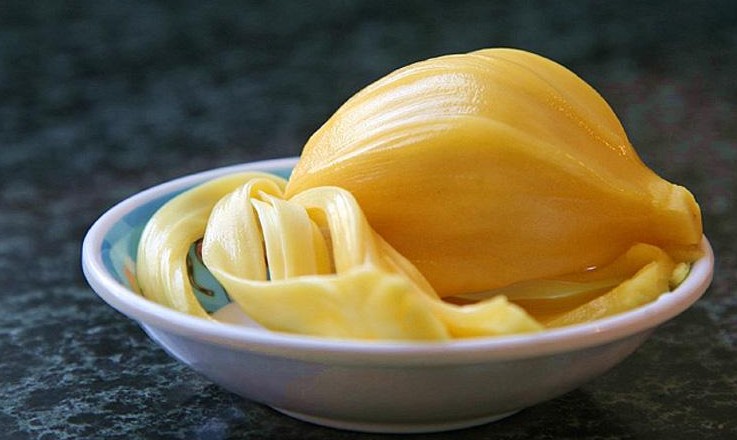 菠蘿蜜核的功效與作用、禁忌和食用方法