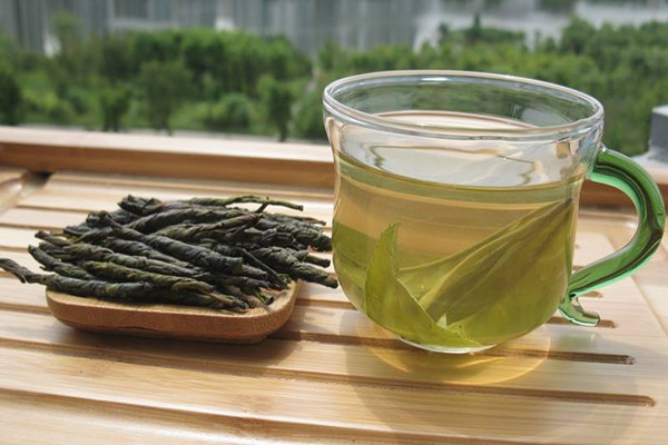 苦丁茶是涼性還是熱性 苦丁茶產自哪里