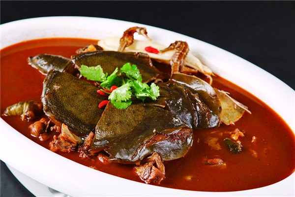 甲魚(yú)是涼性還是熱性 甲魚(yú)屬于魚(yú)類嗎