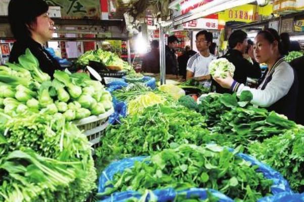 蔬菜是植物類(lèi)嗎 蔬菜是酸性還是堿性食物