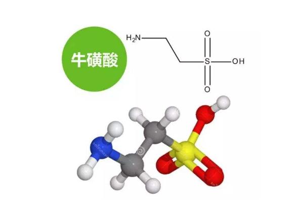 牛磺酸的功效與作用 ?；撬岢远嗔藭?huì)怎么樣