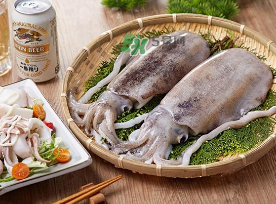 墨魚(yú)多少錢(qián)一斤 墨魚(yú)買(mǎi)哪種好