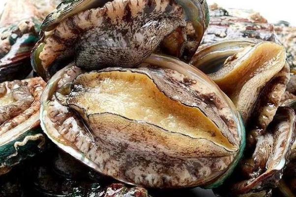 鮑魚(yú)要蒸多少時(shí)間才能熟 鮑魚(yú)要焯水嗎