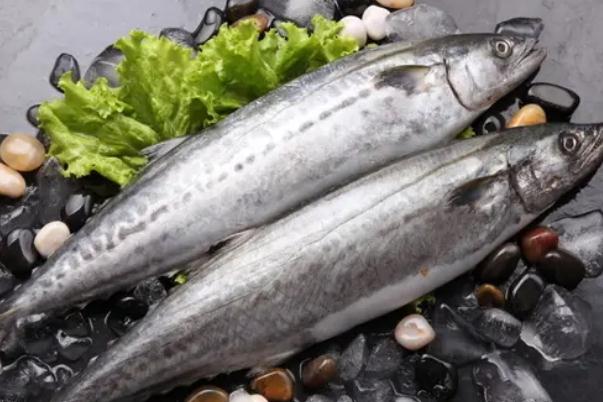 鲅魚要不要刮魚鱗 鲅魚要燉多長(zhǎng)時(shí)間